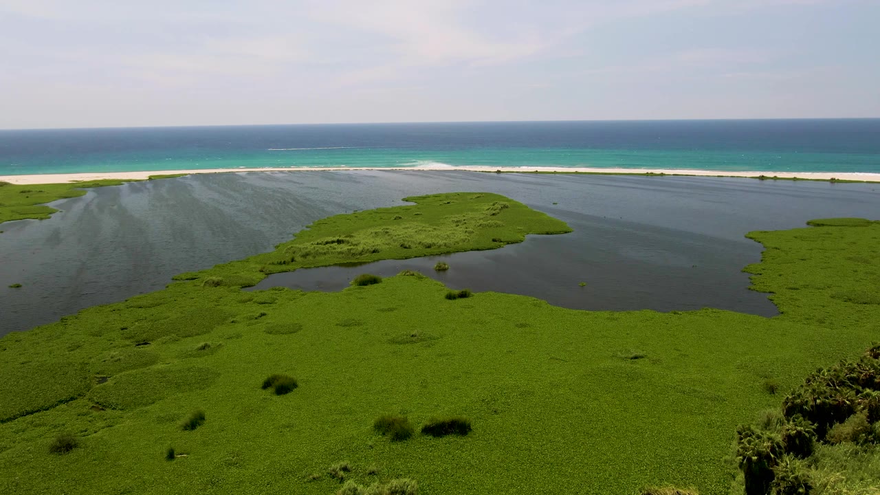 Green lagoon edge and narrow sandbar with turquoise ocean beyond.