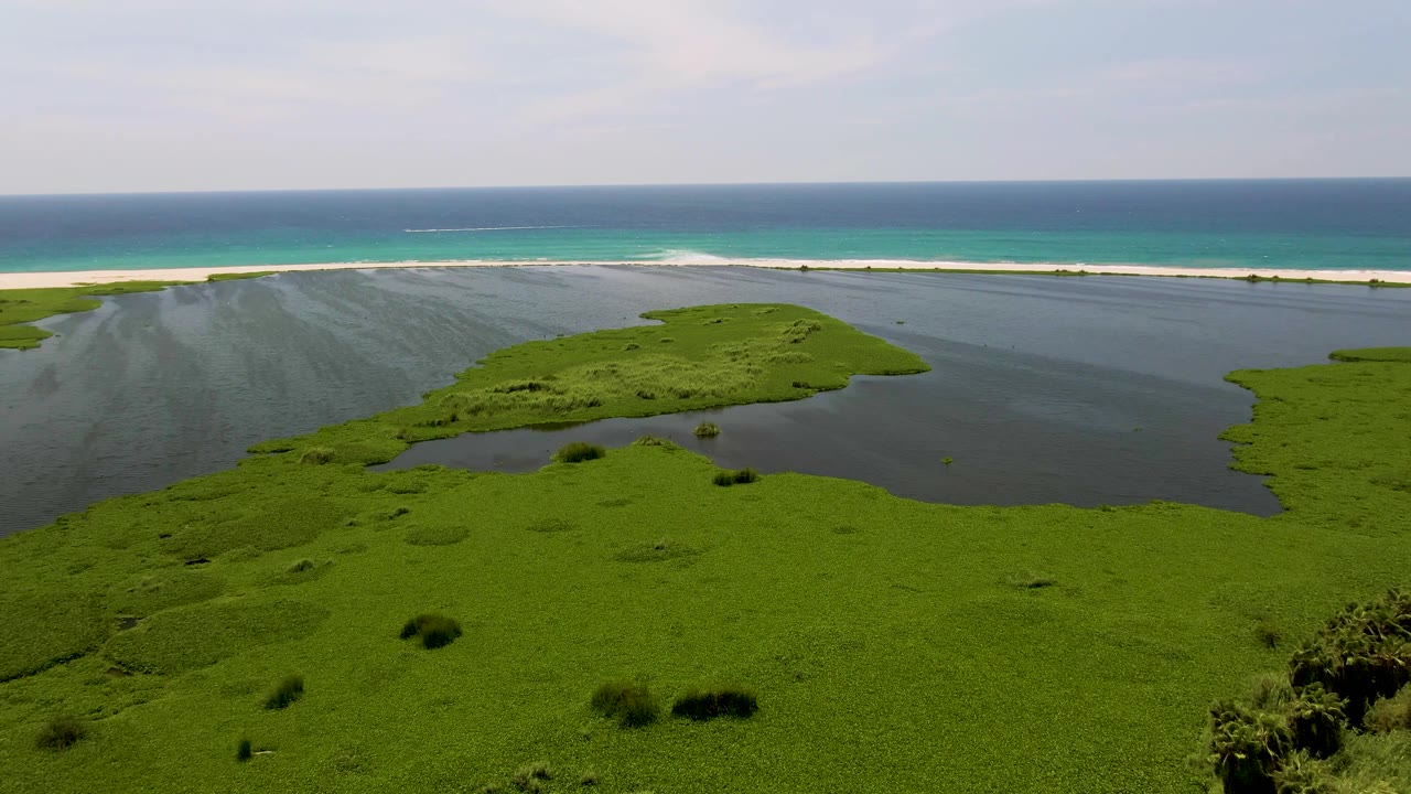 At 0:02, the drone view over San Jose del Cabo frames bright green vegetation in the foreground, dark lagoon water in the middle, a pale sandbar, ocean waves, and no visible people.