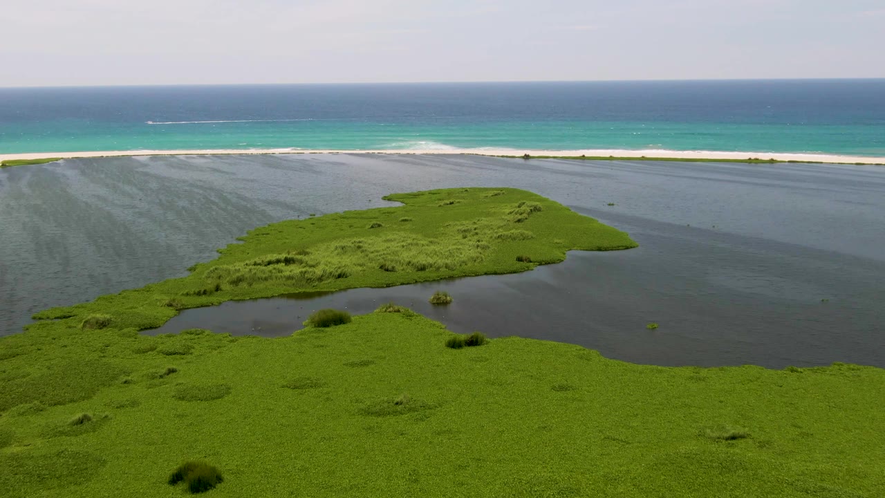 Aerial frame over a San Jose del Cabo lagoon with dense green vegetation in front, dark water around it, a pale beach strip, turquoise ocean, and no visible people.