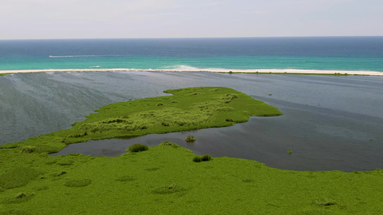 Aerial view in San Jose del Cabo with the green lagoon island centered lower in frame, darker water wrapping its edges, a narrow beach, blue-green ocean, and no visible people.