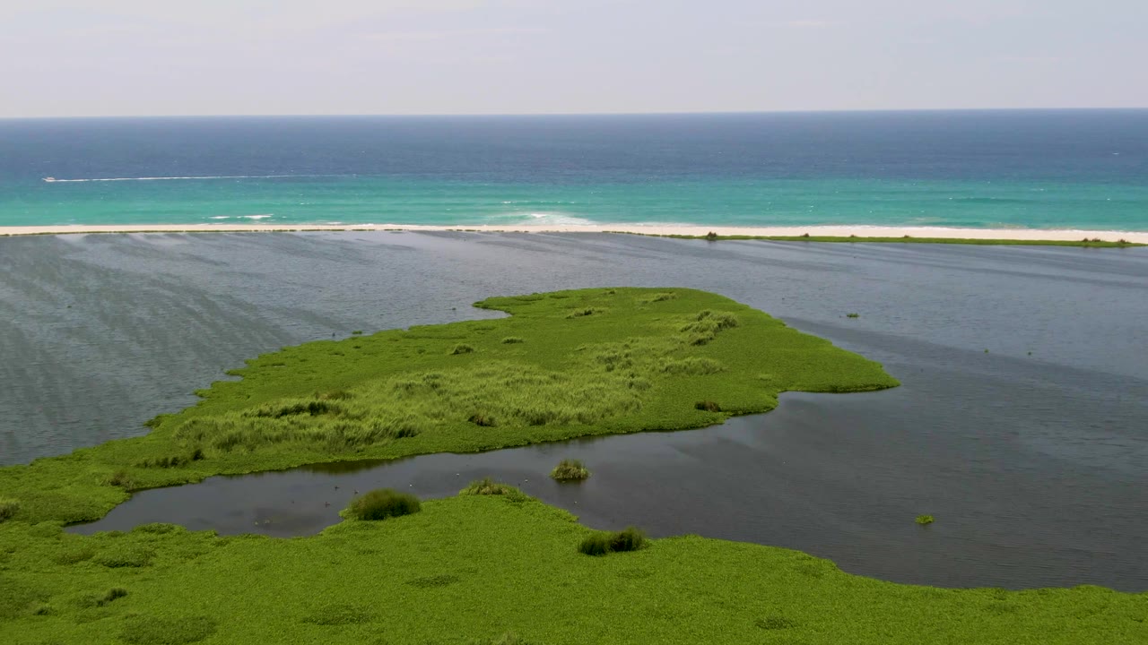 Lagoon water and green vegetation below a bright ocean horizon