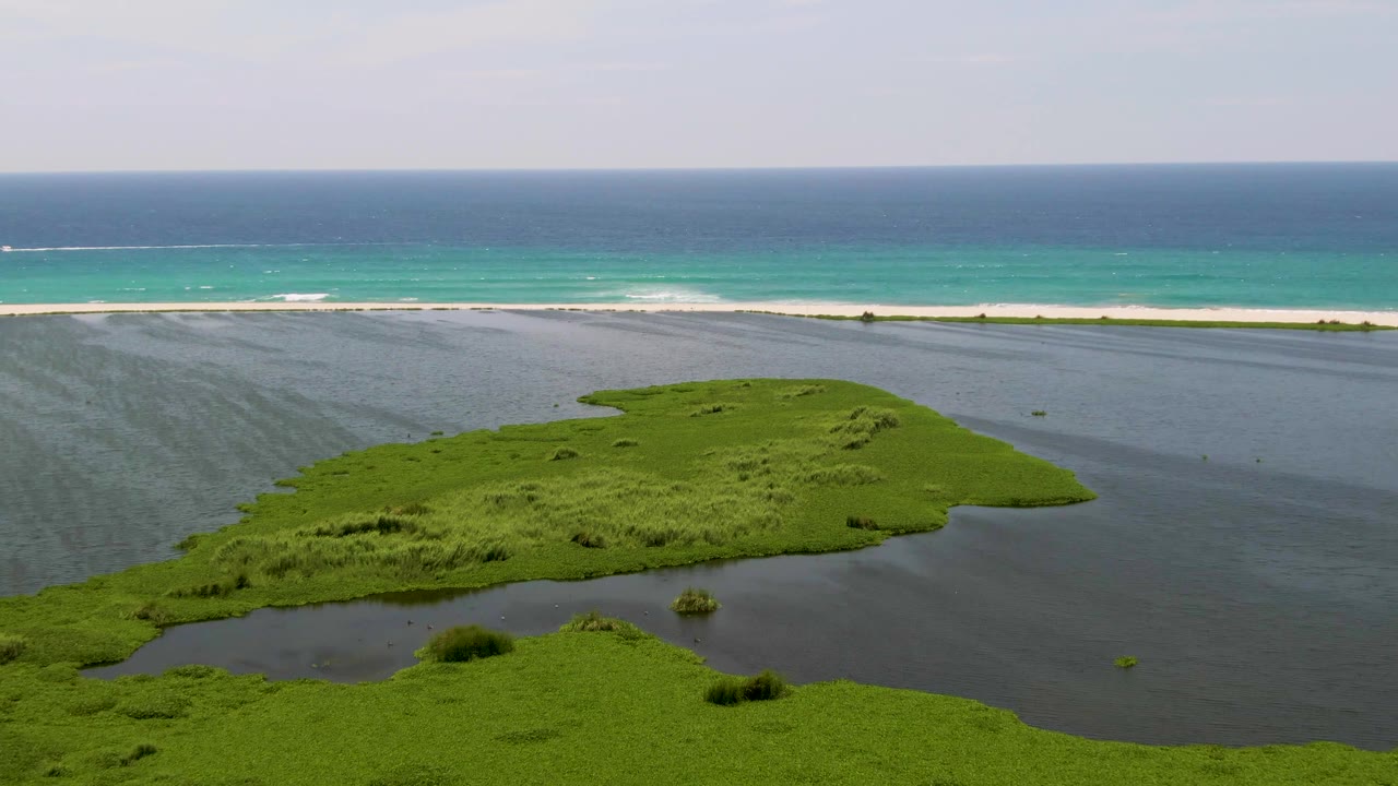 Aerial view over San Jose Del Cabo lagoon water with the grass island centered lower in frame and the turquoise sea stretching behind it, no visible people.