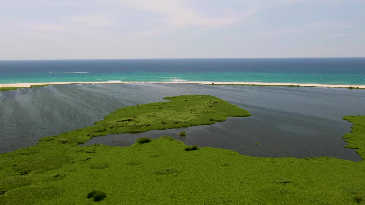 Wide aerial frame over San Jose Del Cabo marshland with dark lagoon water, a pale beach strip, turquoise ocean beyond it, and no visible people.