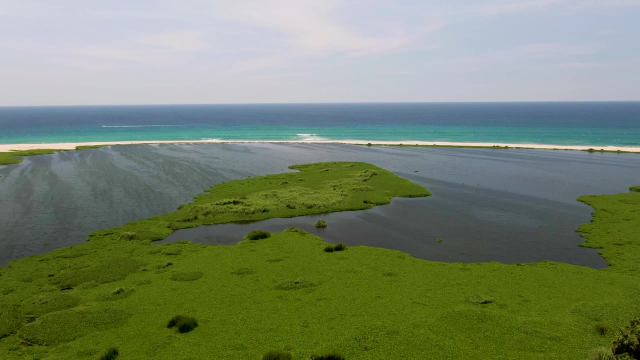 Aerial view in San Jose Del Cabo showing a broad green marsh foreground, rounded lagoon edges, a thin sandy beach, blue ocean, and no visible people.