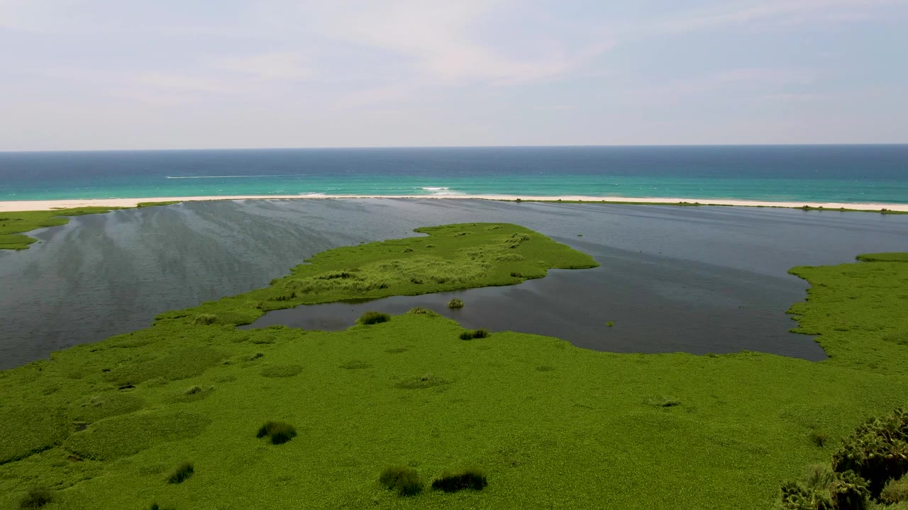 San Jose Del Cabo aerial frame with dense green vegetation around lagoon water, a narrow beach separating the lagoon from the ocean, and no visible people.