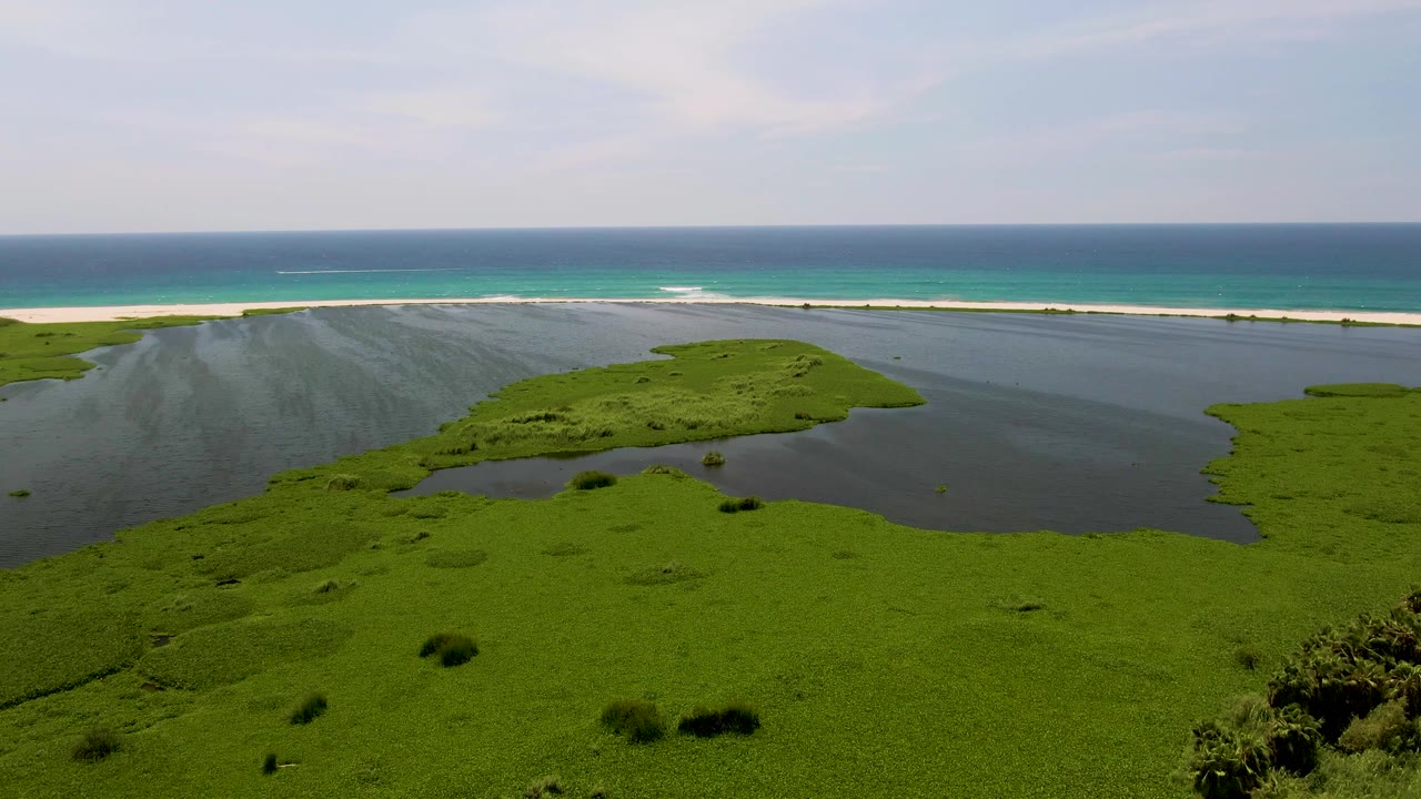 Aerial frame over San Jose Del Cabo coastal marsh where dark lagoon water curves around green vegetation below a beach and blue ocean horizon, with no visible people.