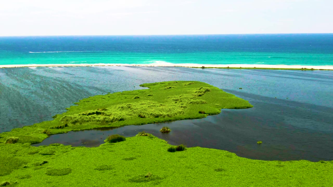 Aerial view of green coastal lagoon beside turquoise ocean