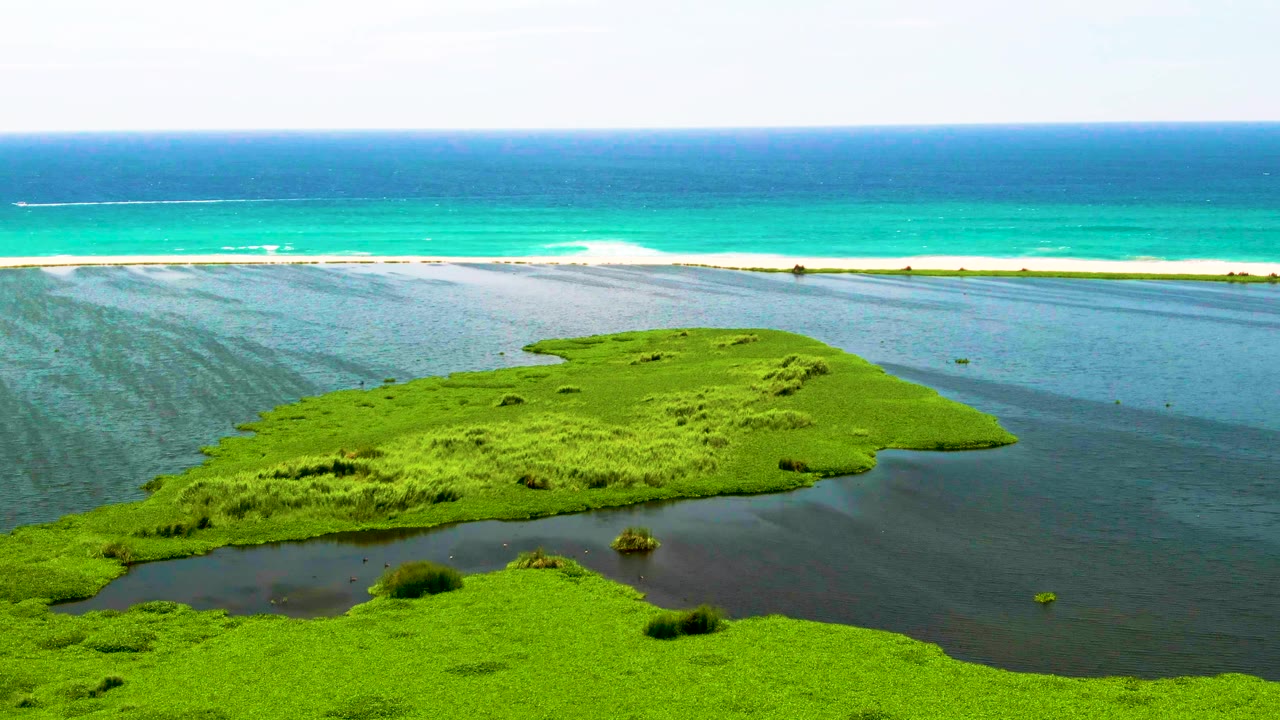 Aerial view across bright lagoon vegetation and dark inlet water toward a turquoise ocean strip in San Jose del Cabo, Mexico, with a distant boat and no visible people.