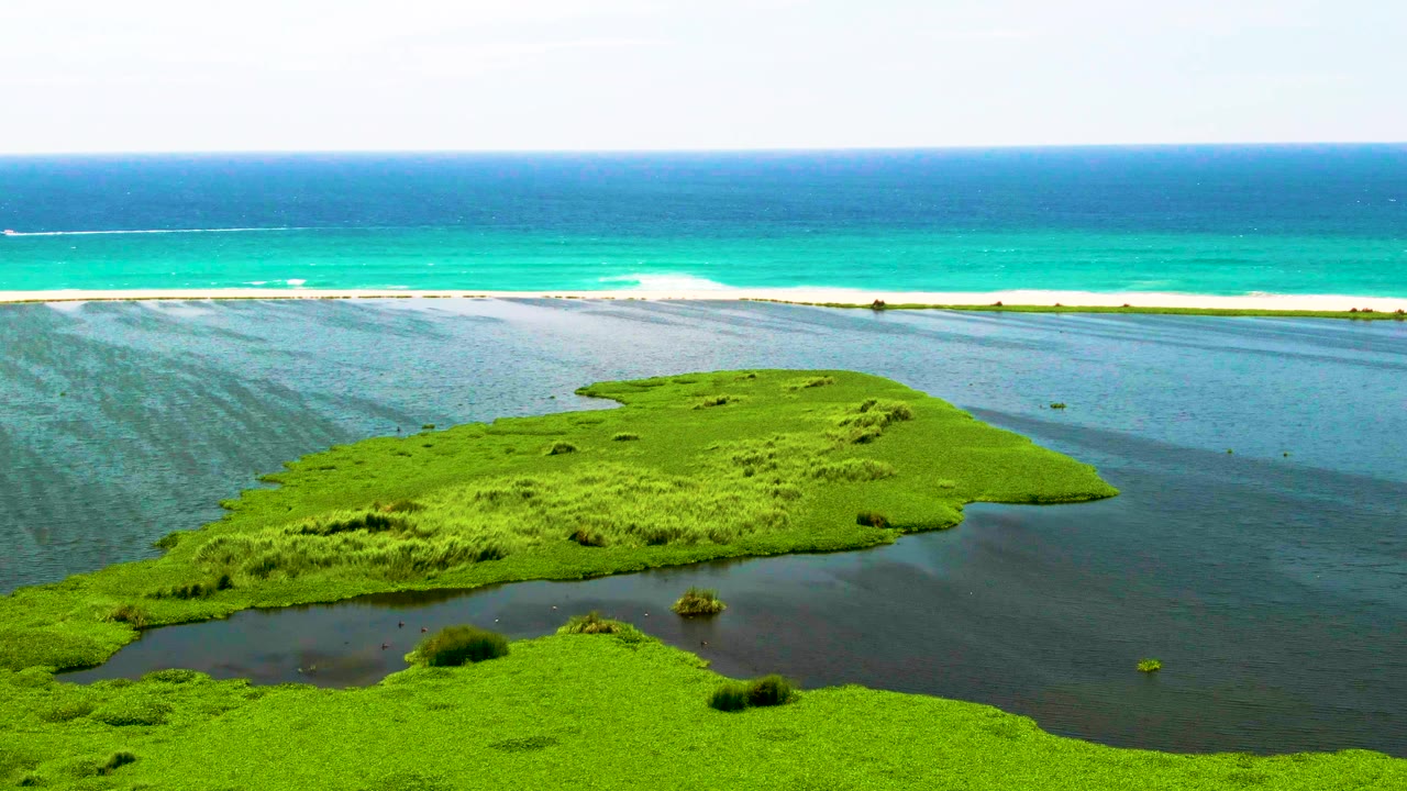 Mid-clip aerial frame over the coastal wetland and lagoon water, with the ocean surf line stretching across the background near San Jose del Cabo, Mexico, and no visible people.
