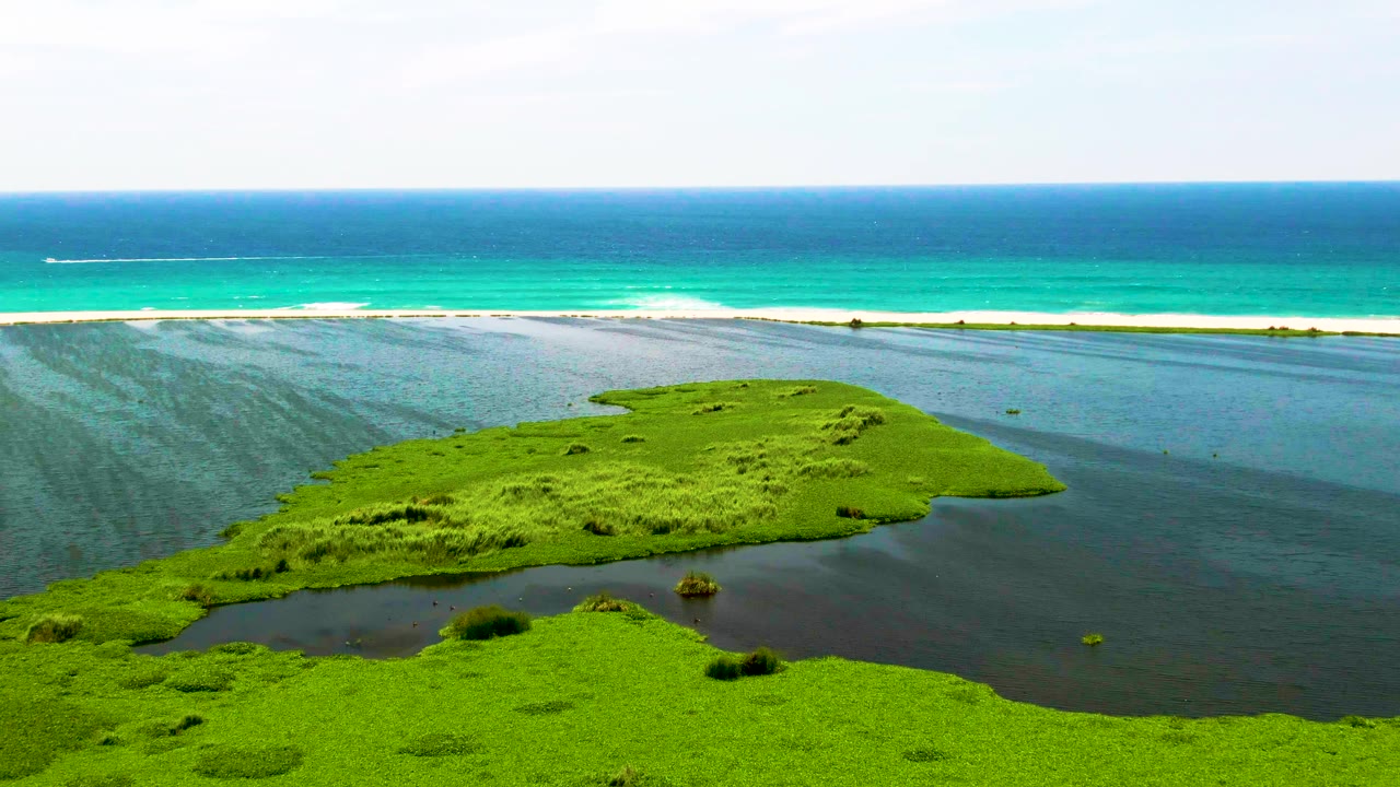 Opening aerial frame over San Jose Del Cabo wetland greenery and dark lagoon water, with a pale sandbar, turquoise surf, blue ocean, light sky, and no visible people.