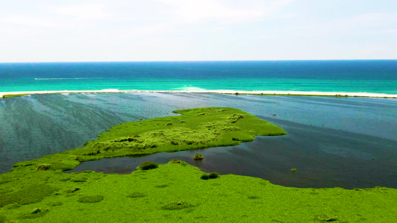 The aerial frame shows San Jose Del Cabo lagoon water wrapping around bright marshland, with a thin sandbar, white surf lines, deep blue ocean, and no visible people.