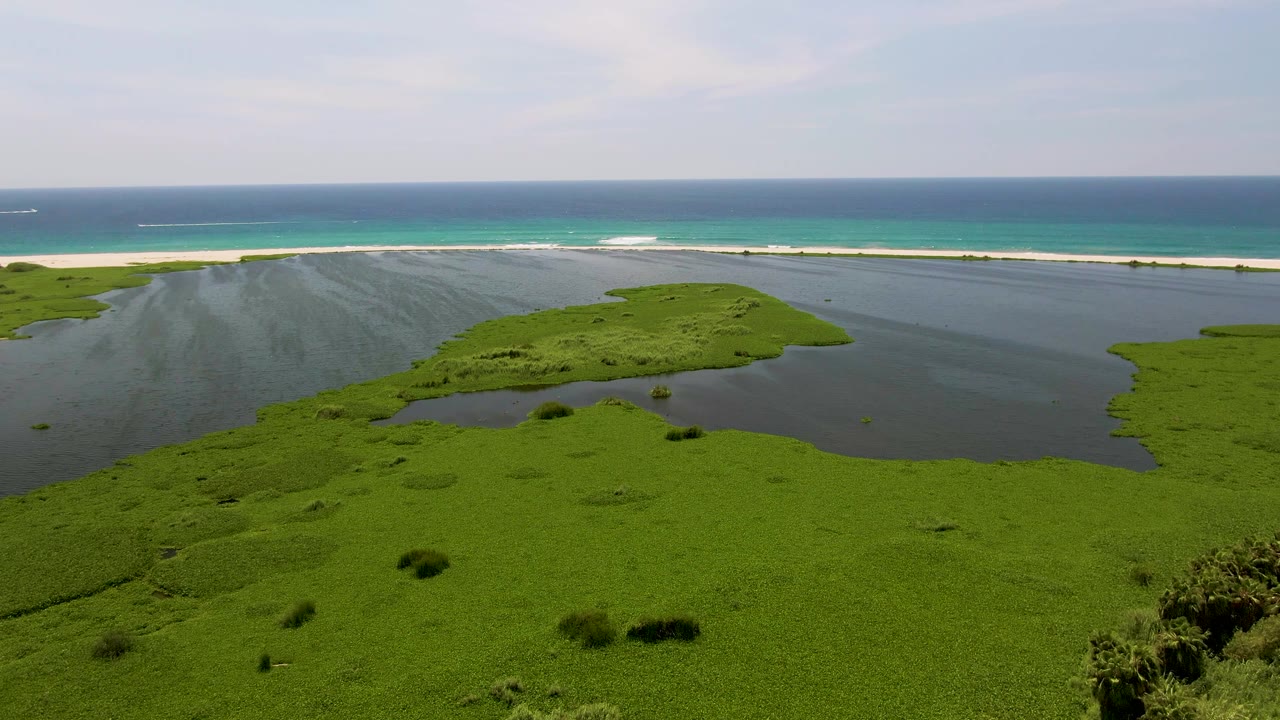 Aerial view over San Jose del Cabo marshland and lagoon, with a pale beach and blue ocean beyond, and no visible people.