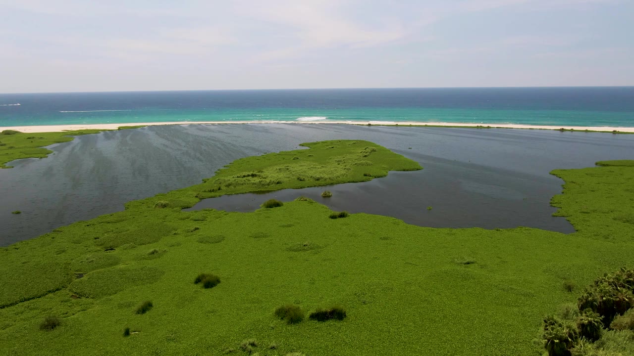 Elevated San Jose del Cabo coastal frame showing dark lagoon water, bright green marsh, white surf, and a small distant boat wake with no visible people.