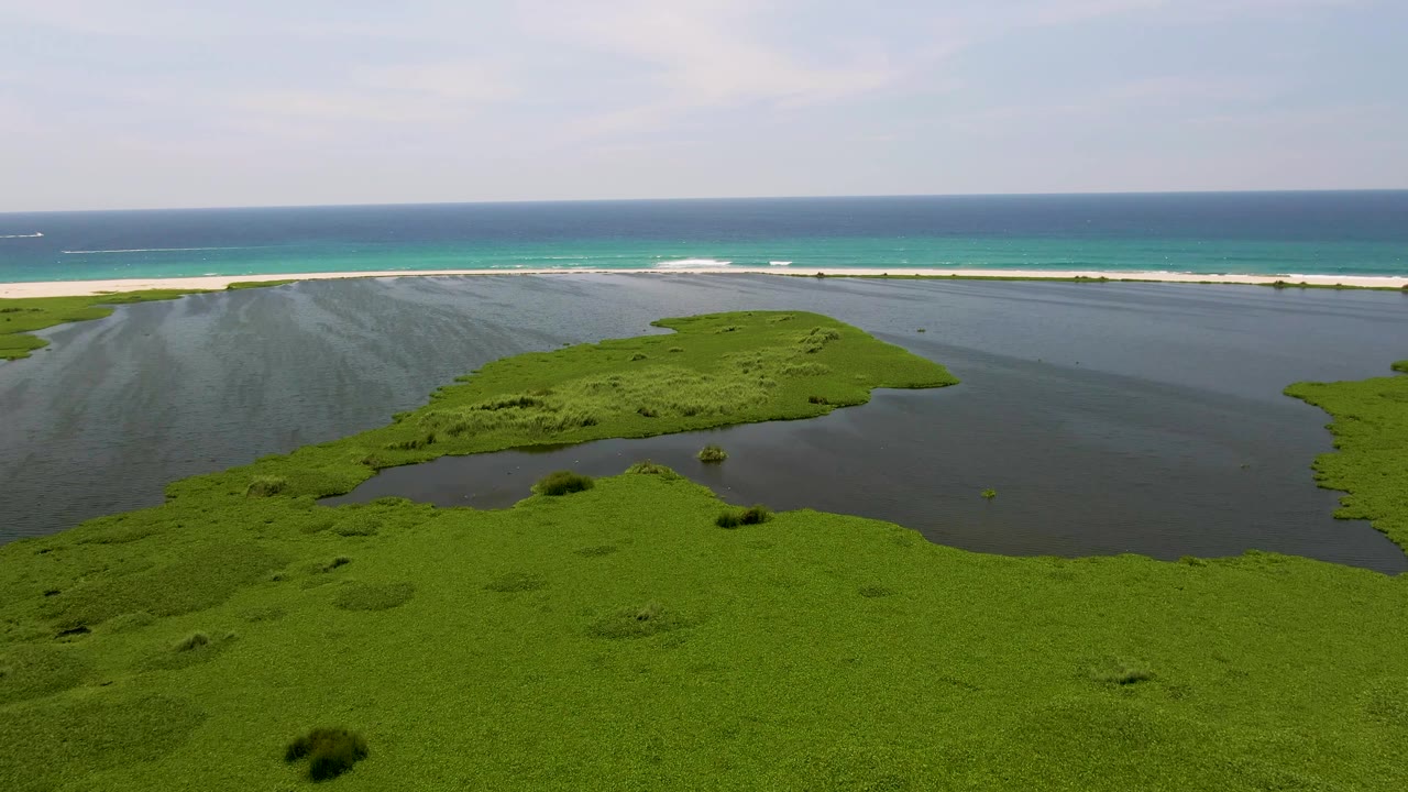 Aerial view one second into the San Jose del Cabo clip, with the green vegetation mat slightly shifted in frame, dark lagoon water, a narrow sandy beach, blue-green ocean, and no visible people.