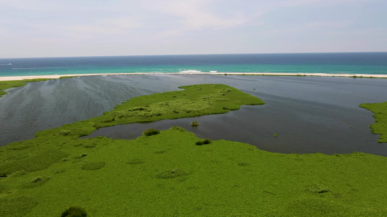 Two seconds into the San Jose del Cabo aerial, the floating green vegetation sits lower in the frame, surrounded by lagoon water, with surf lines along the beach and no visible people.