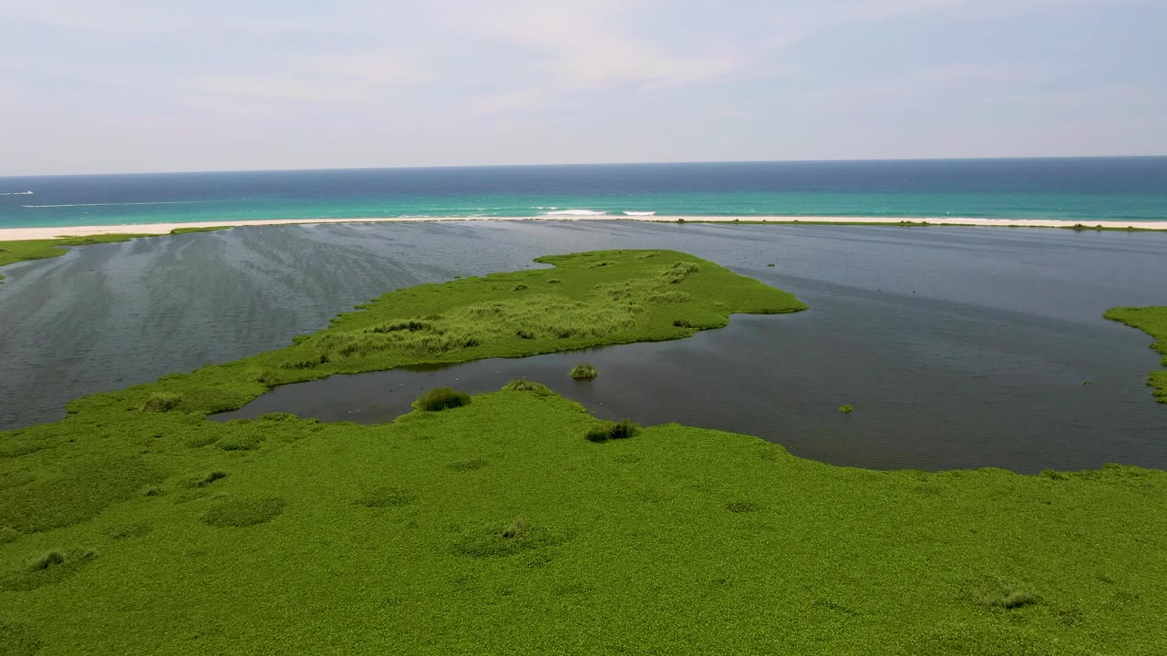 Mid-clip aerial frame in San Jose del Cabo, showing dense green vegetation across the lower half, dark lagoon water through the center, a sandbar-like beach, turquoise ocean, and no visible people.
