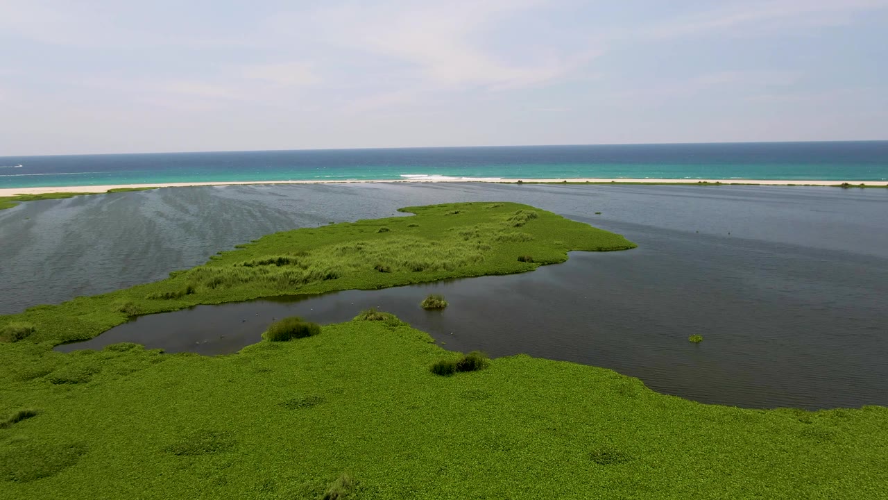 Opening frame over a green coastal wetland in San Jose del Cabo, with dark lagoon water, a pale sand bar, blue ocean beyond, and no visible people.