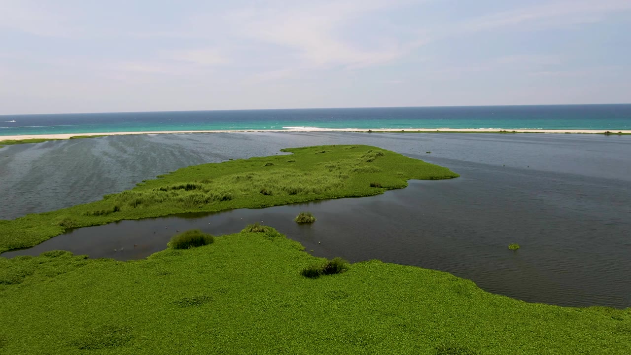 Green marsh landmass surrounded by shallow lagoon water near the ocean