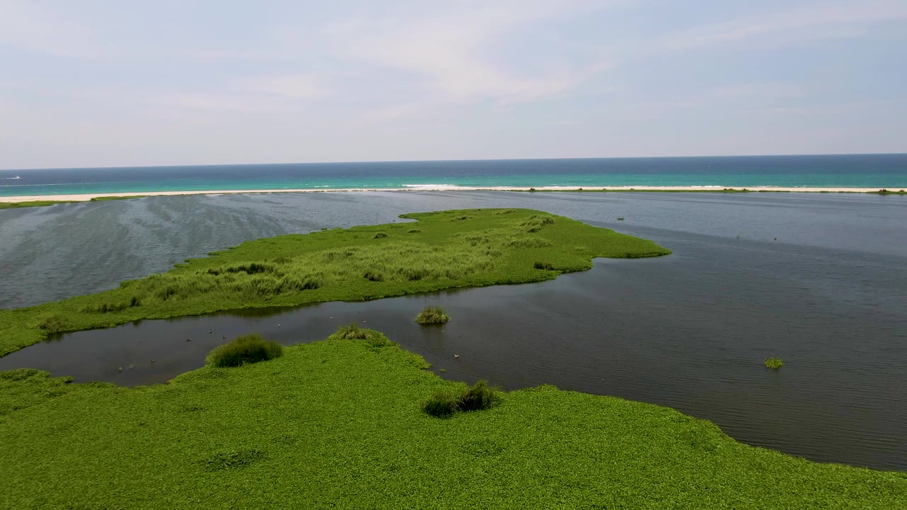 Mid-early frame over San Jose del Cabo wetland water, where small birds are visible as light specks near the marsh edge and the ocean line stays steady in back.