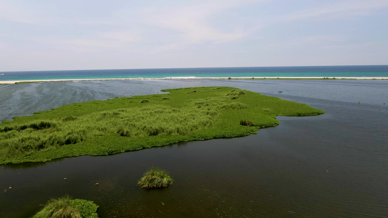 Aerial frame over San Jose Del Cabo, Mexico, with dense green vegetation closer to camera, dark lagoon water on both sides, distant surf line, and no visible people.