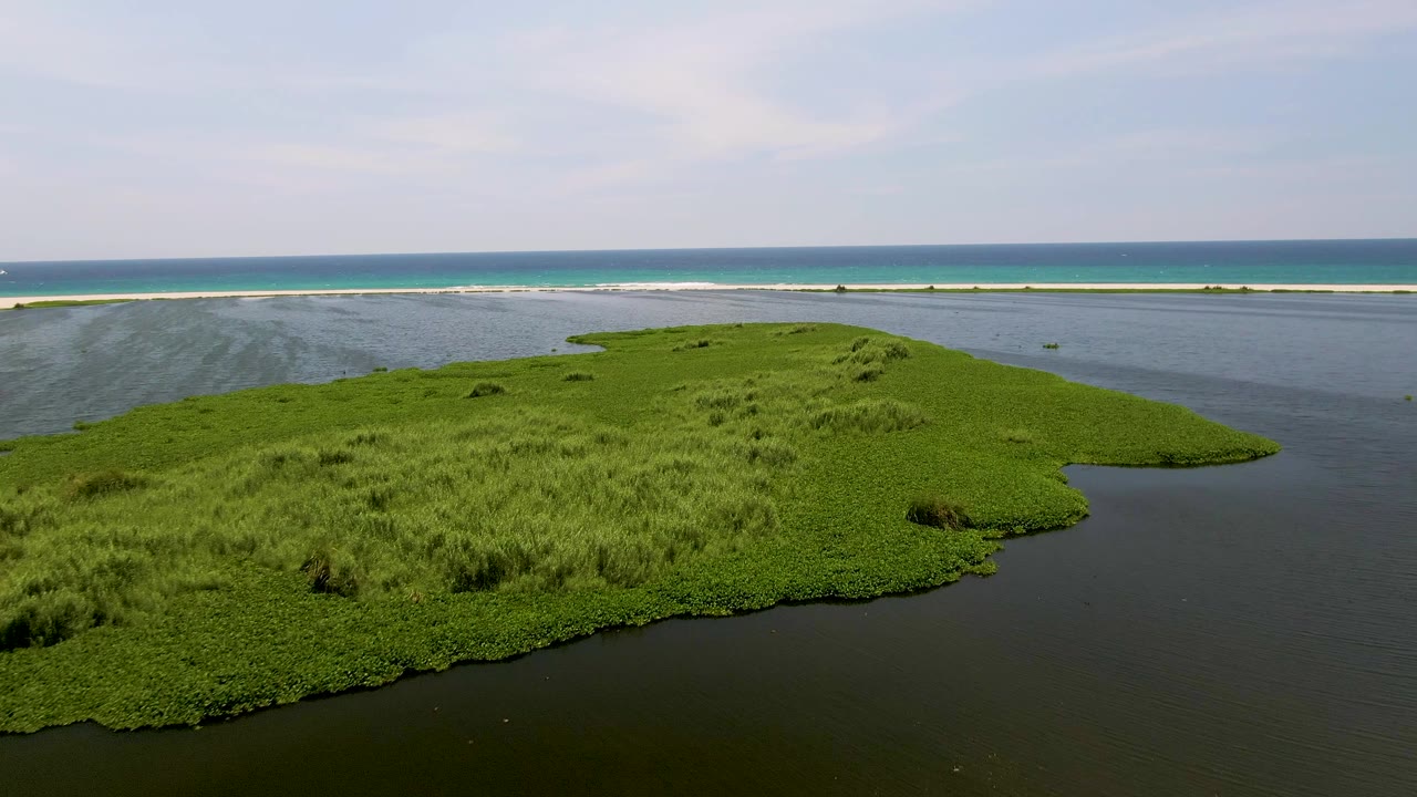 Green marsh island fills the lower frame with surf and ocean beyond