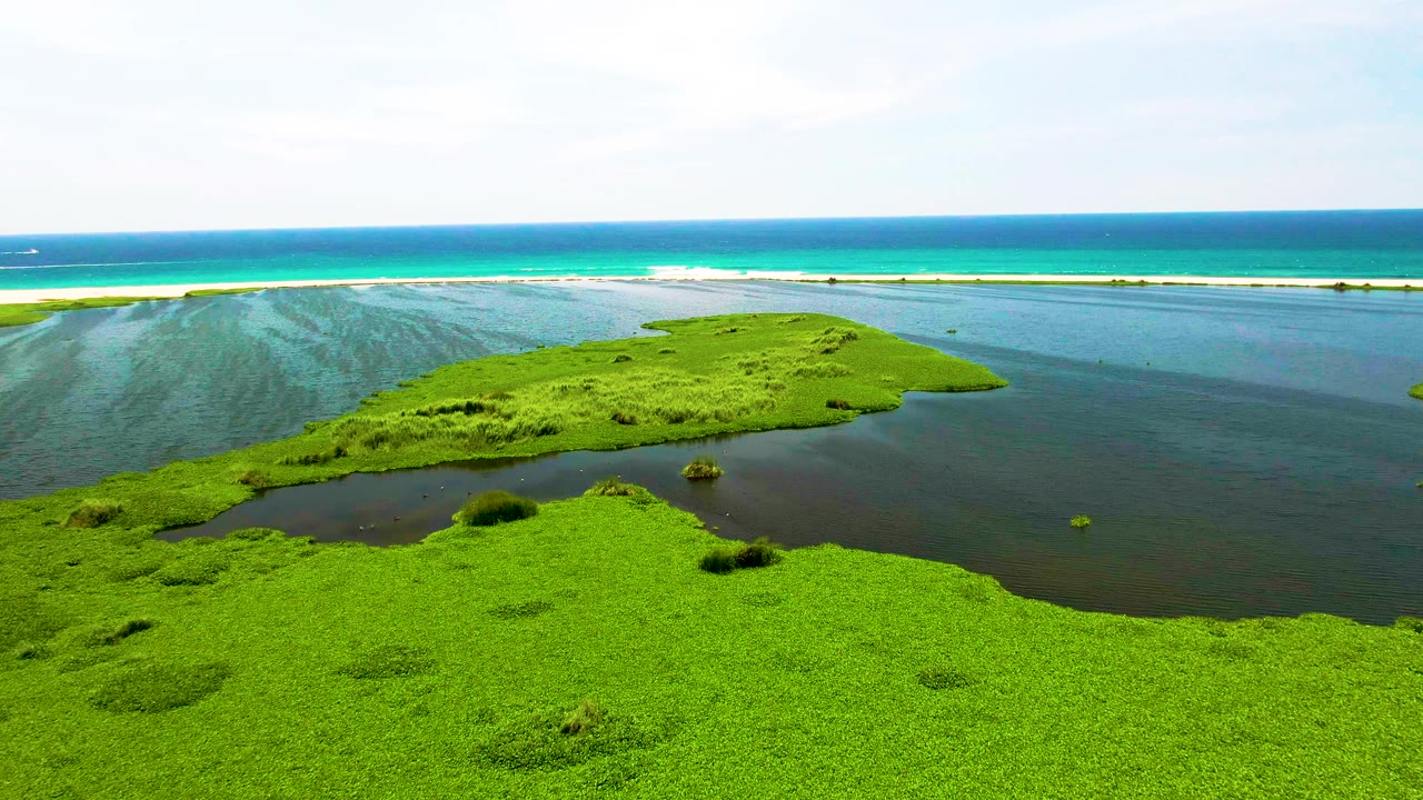 Aerial frame over San Jose del Cabo coastal water where green plant beds sit in the foreground, dark lagoon water cuts across the middle, and the ocean horizon stays clear with no visible people.