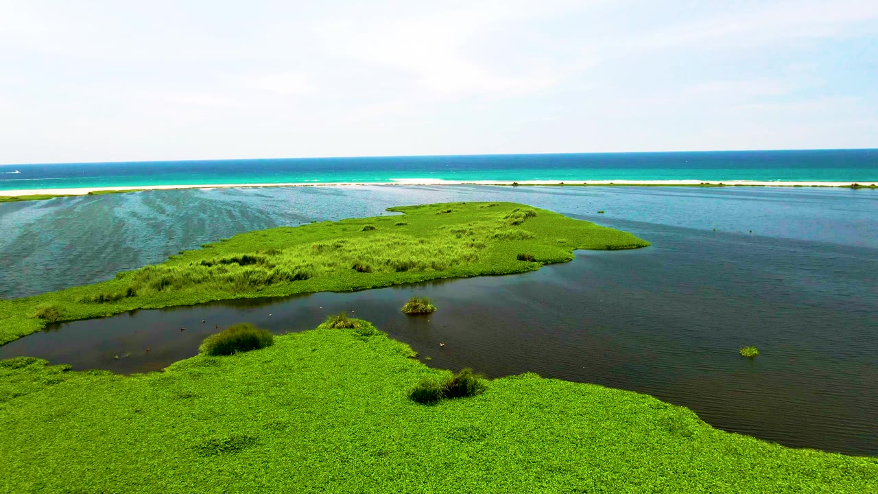 Aerial view in San Jose del Cabo, Baja California Sur, showing bright green islets in dark lagoon water, a turquoise ocean band on the horizon, and no visible people.