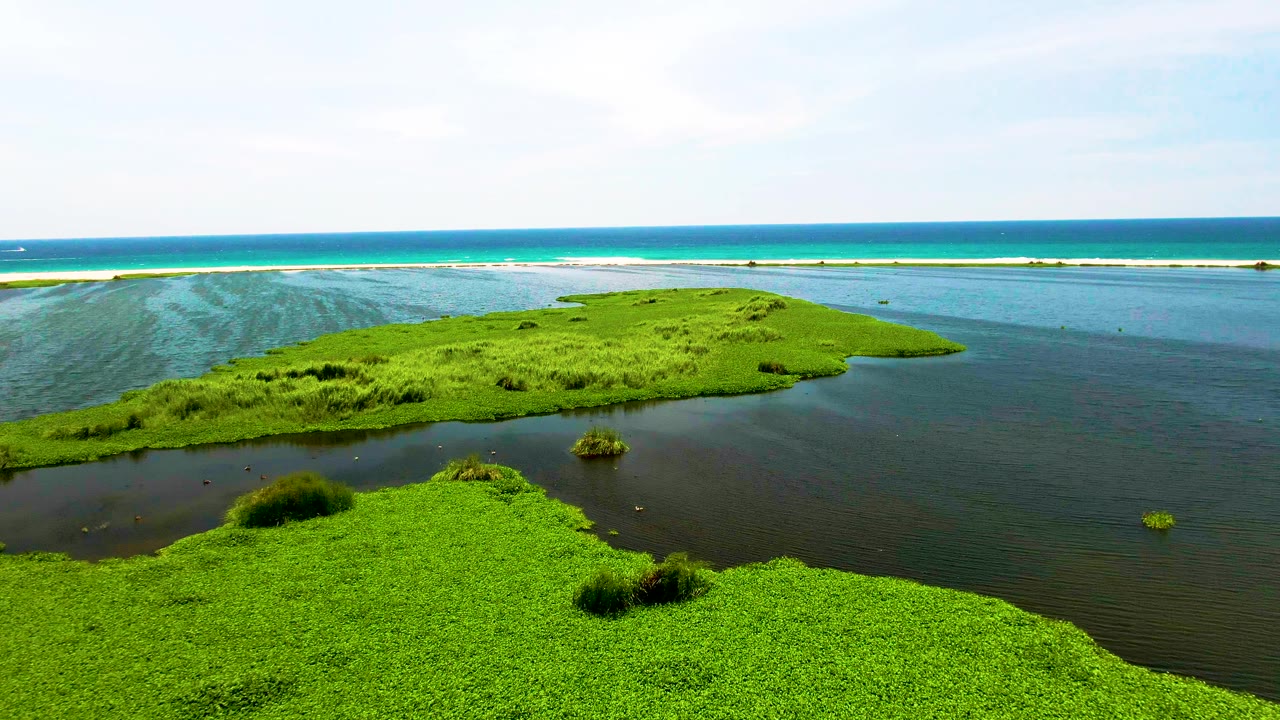 A high aerial frame over San Jose del Cabo shows a large green marsh islet curving through dark water, with pale shallows and turquoise ocean behind it, and no visible people.