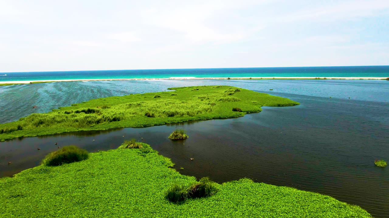 San Jose del Cabo aerial footage shows a low green marsh island surrounded by dark lagoon water, with a bright turquoise ocean strip, distant sandbar, and no visible people.