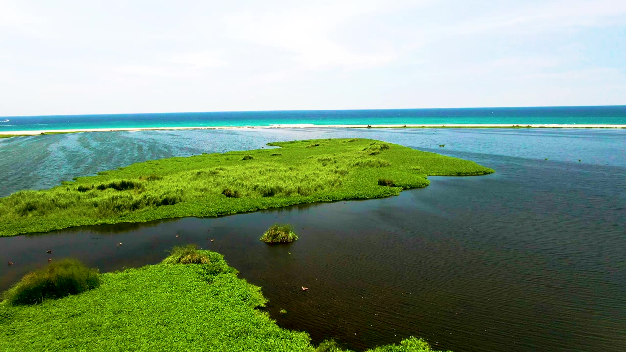 Lagoon channel beside green vegetation and distant blue ocean.