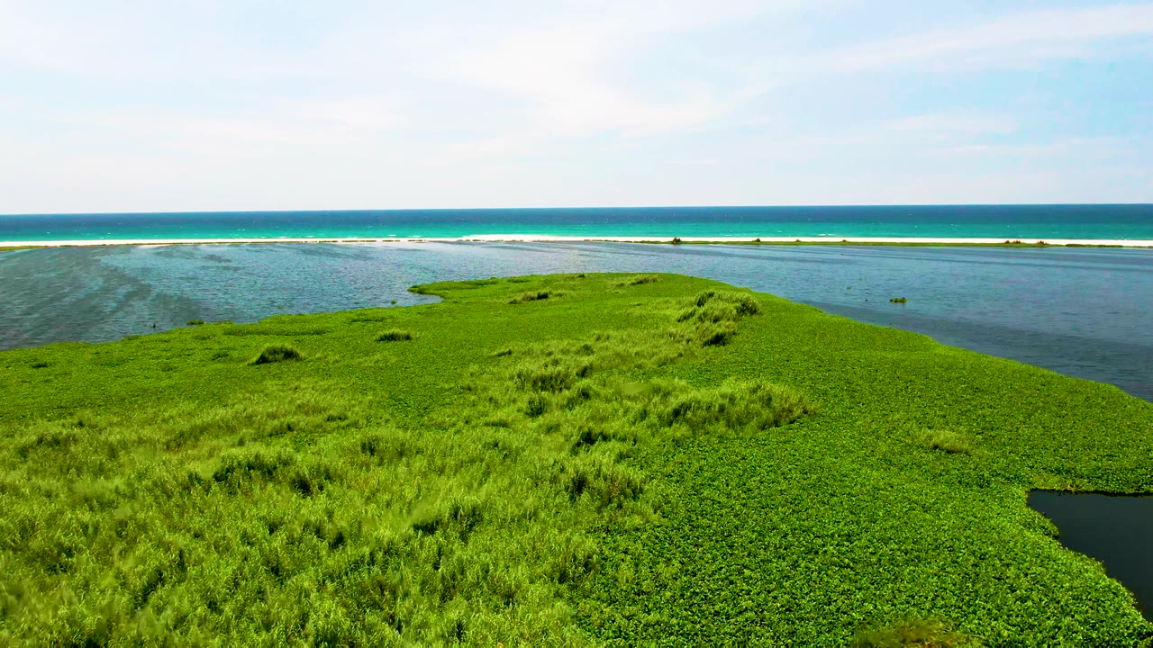 Aerial frame over San Jose Del Cabo showing bright green island vegetation, pale blue ocean bands, open sky, and no visible people.