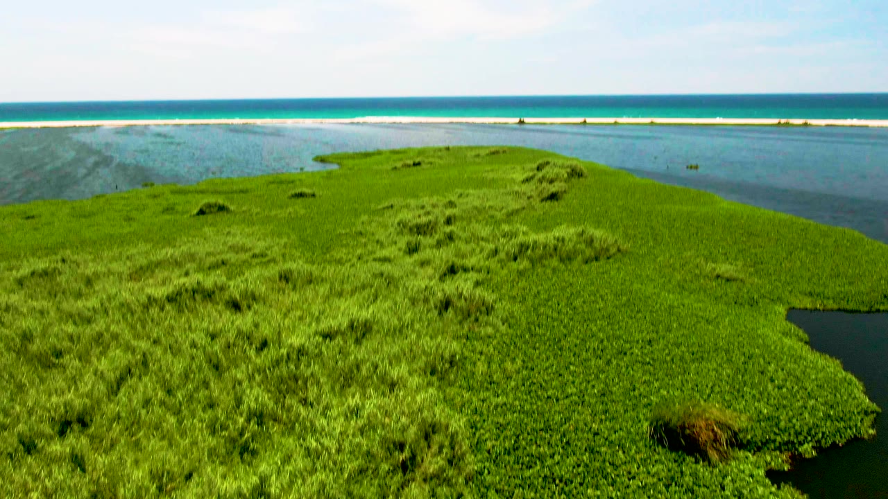 High aerial view in San Jose Del Cabo with a green vegetated island in the foreground, ocean and horizon across the top, and no visible people.