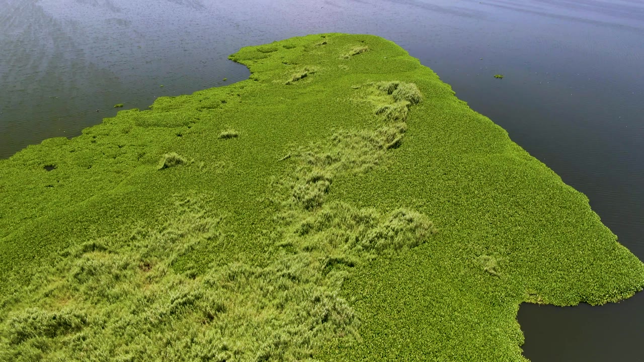 Aerial frame from San Jose del Cabo with bright grass covering the landform, dark water on the left and right, and no visible people.