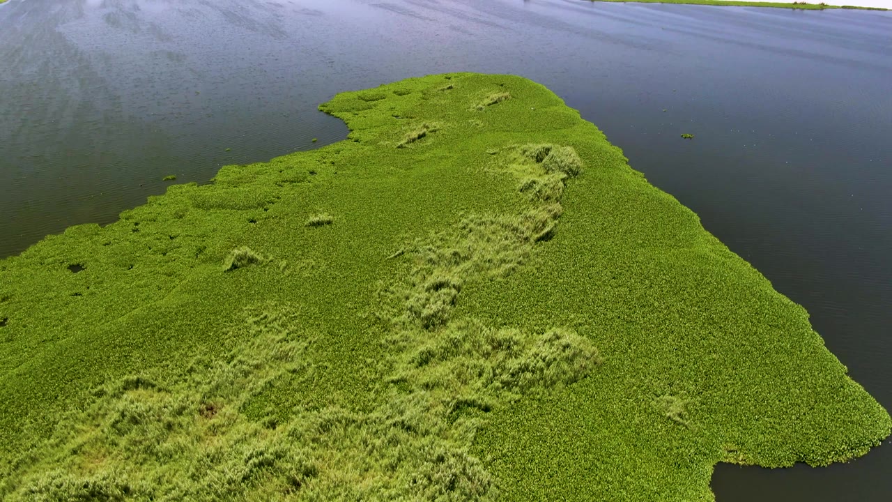Aerial view in San Jose del Cabo showing the grassy peninsula below a broad dark water band and a thin distant line of bright surf, with no visible people.