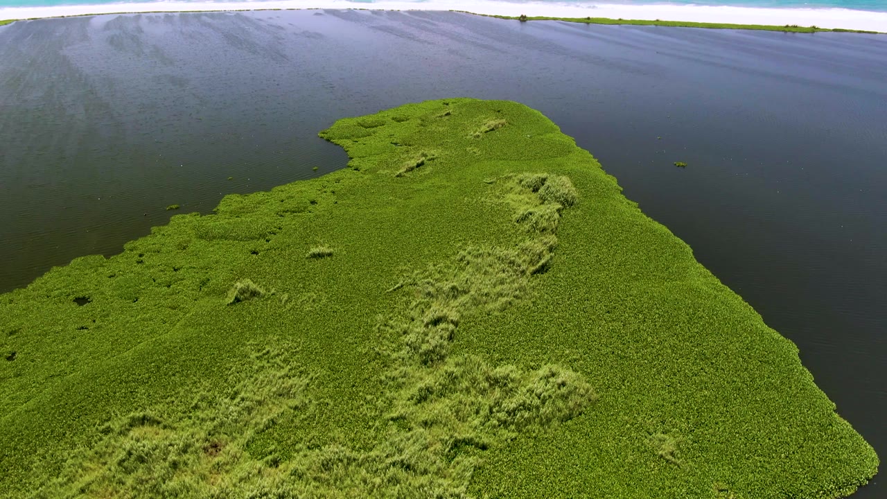 Aerial grassland bordered by dark water with bright ocean beyond.