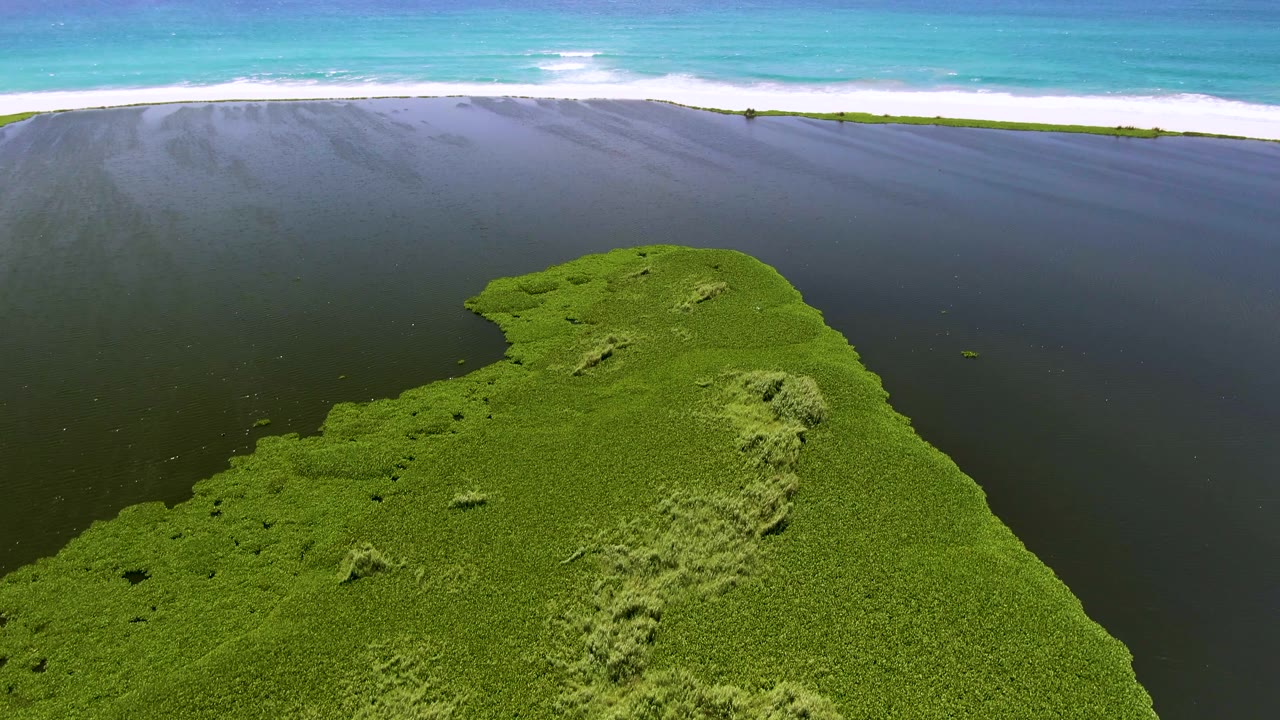 Green coastal landmass bordered by dark water and ocean surf.
