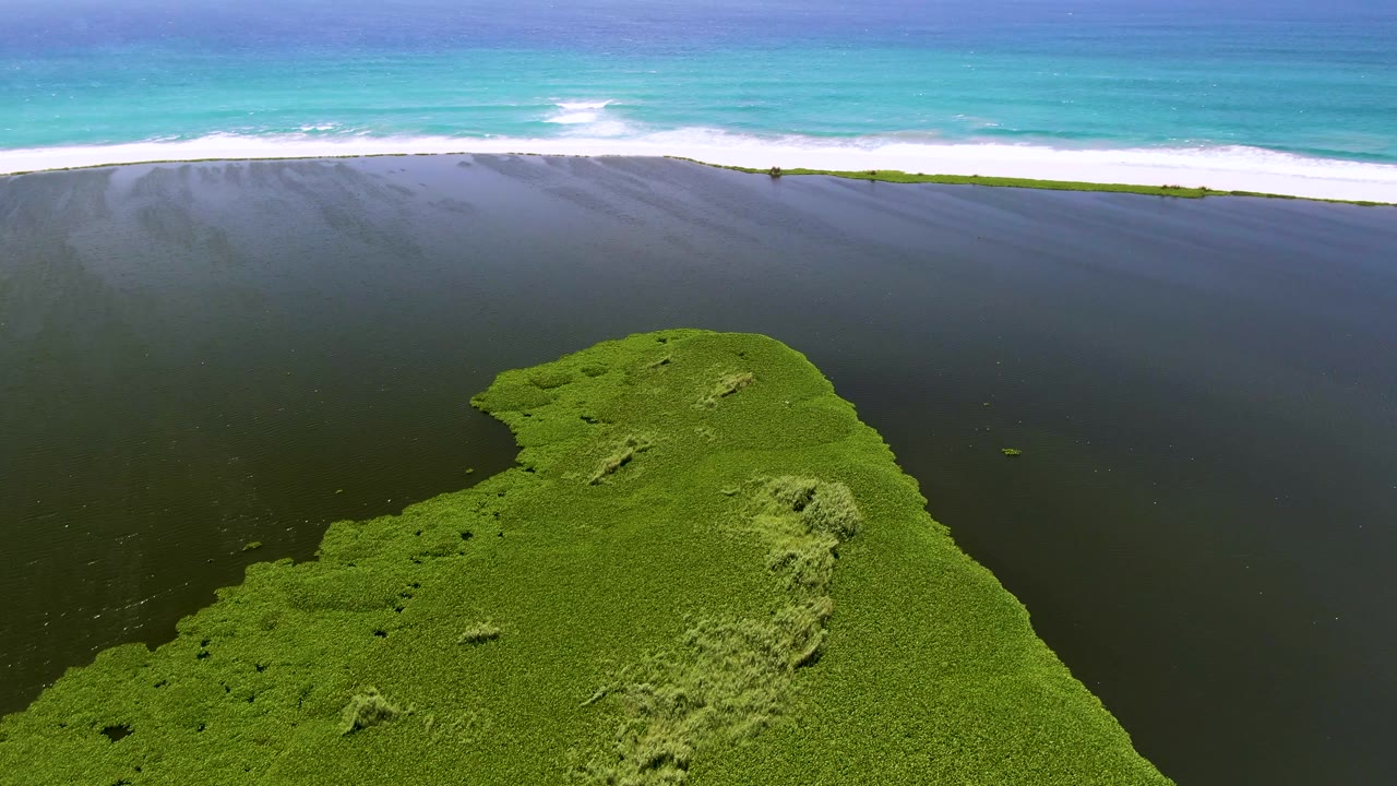Aerial frame in San Jose del Cabo, Mexico, with the rounded green point shifted to the lower right, dark water around it, white surf along the shore, and no visible people.