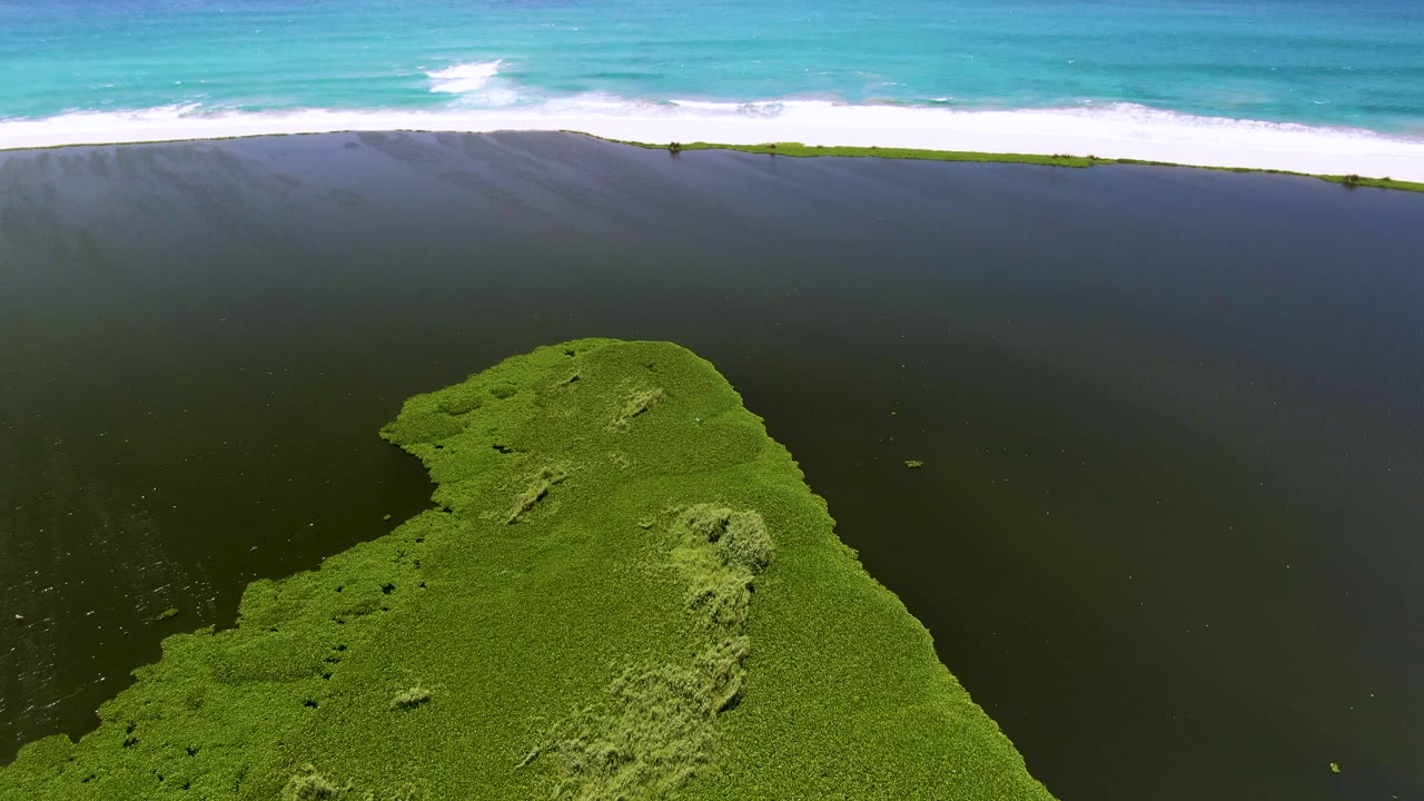Green landmass surrounded by dark ocean water with white surf beyond it.