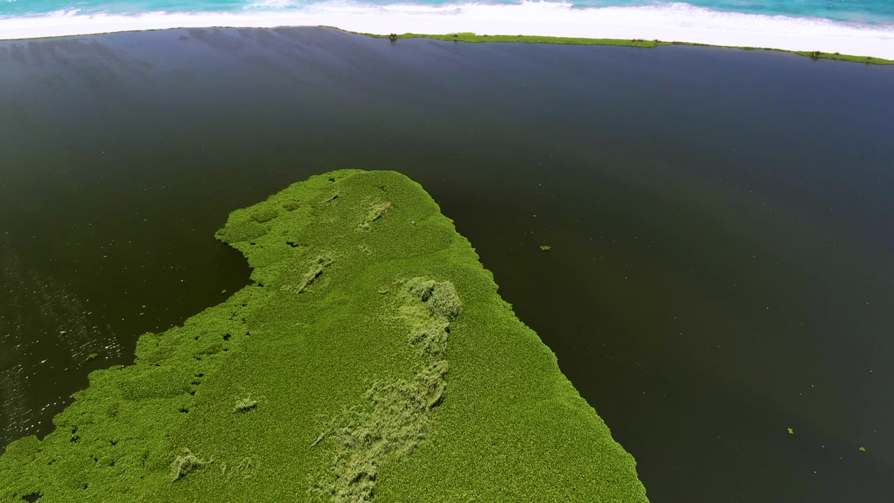 Aerial view in San Jose Del Cabo, Mexico, showing the rounded green landform in the lower center, broad dark water above it, bright white surf near the top edge, and no visible people.