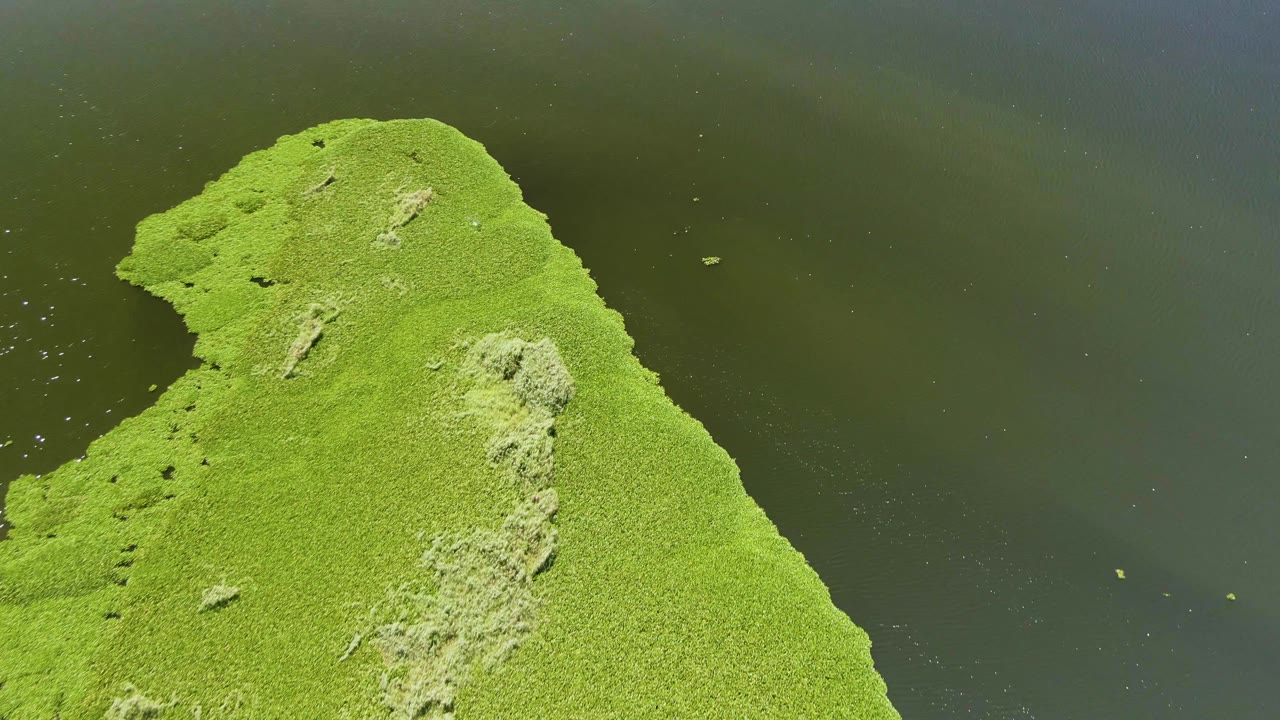 Green moss-covered peninsula projecting into dark water.