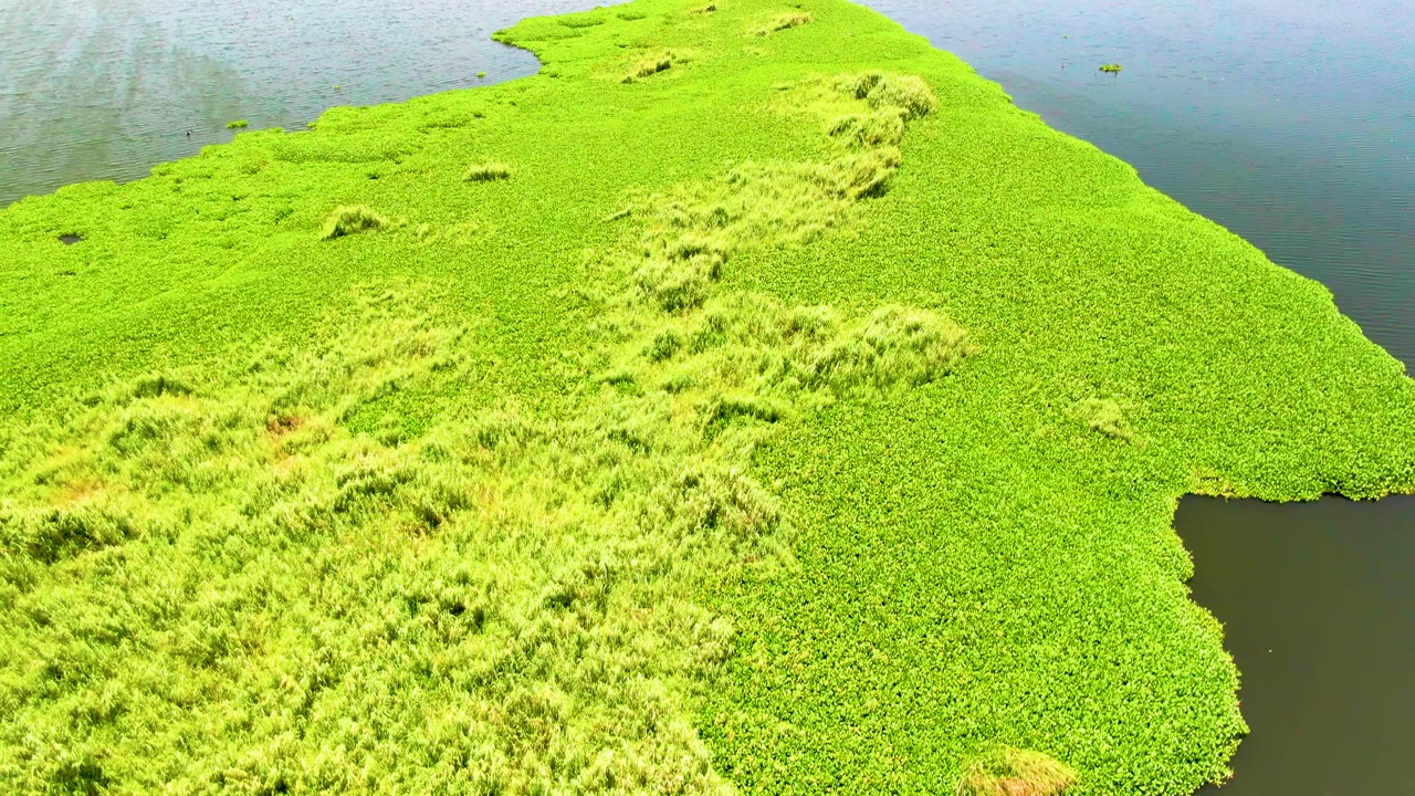 Aerial view over San Jose Del Cabo, Mexico, where the floating green island curves into calm blue-gray water with no visible people.