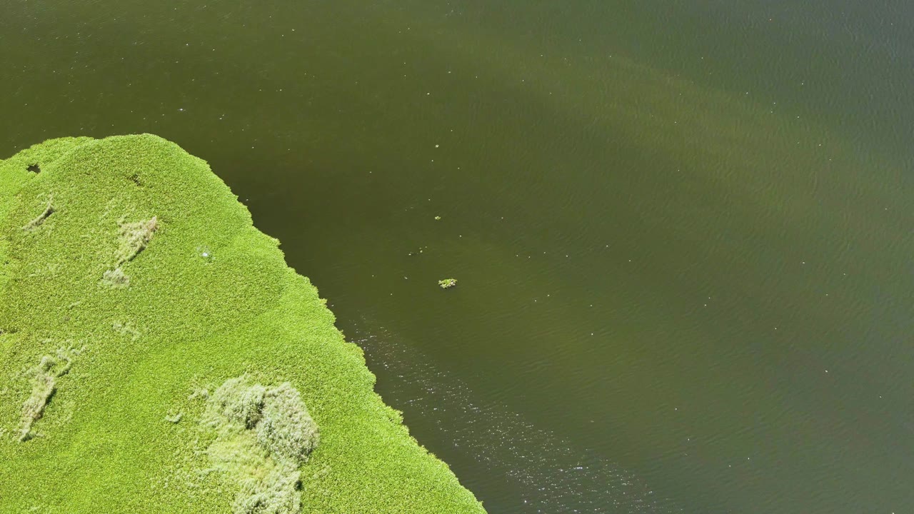 The curved moss-covered landmass remains on the left while the small object sits on the dark water surface in San Jose Del Cabo, with no visible people.
