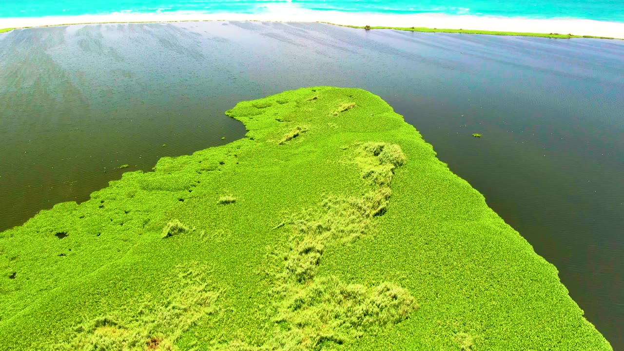 San Jose del Cabo aerial frame showing the green aquatic vegetation tapering toward the upper center, dark water on both sides, bright turquoise ocean beyond, and no visible people.