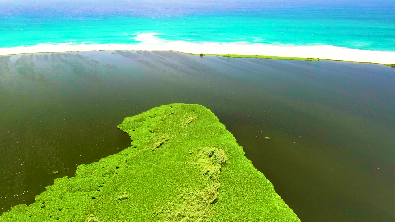 Aerial frame from San Jose del Cabo showing a bright green algae mat in the lower frame, dark shallow water beyond it, turquoise ocean and white surf at the top, with no visible people.