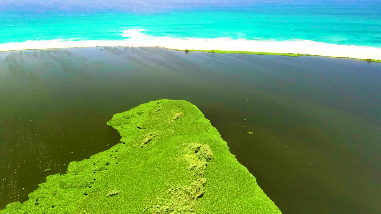 Second frame from San Jose del Cabo with the algae-covered shallows shifted slightly toward the center, dark lagoon water surrounding it, a thin pale shore break, and no visible people.