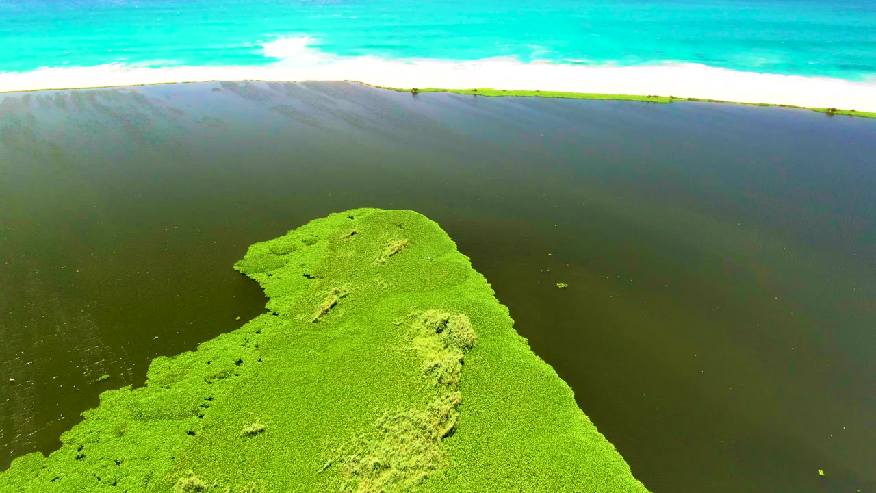 A San Jose del Cabo aerial still where the green algae mass fills more of the lower right frame, dark shallow water sits behind it, and white ocean foam marks the top edge, with no visible people.