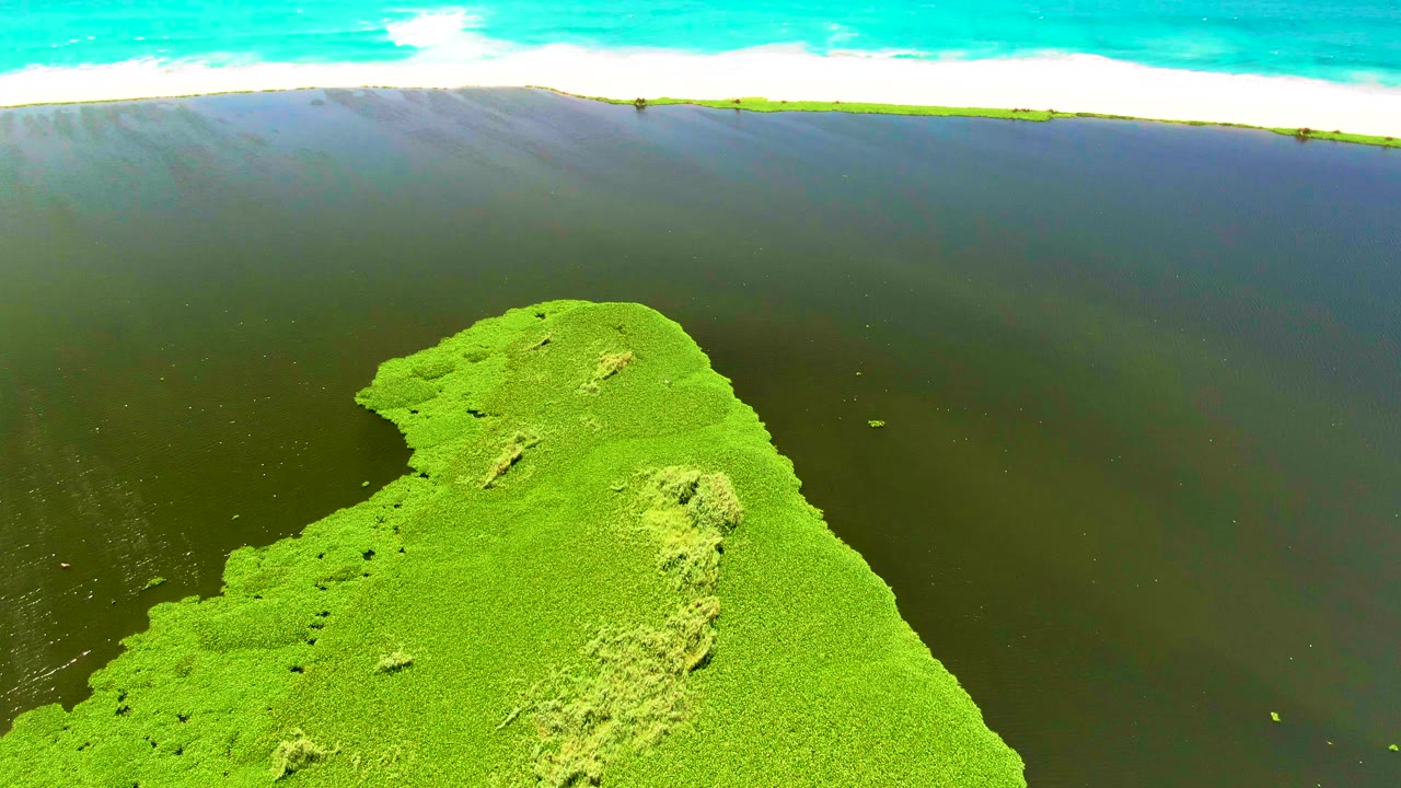Mid-clip aerial frame from San Jose del Cabo with the algae-covered foreground lower in frame, broad dark water across the center, bright surf along the upper edge, and no visible people.