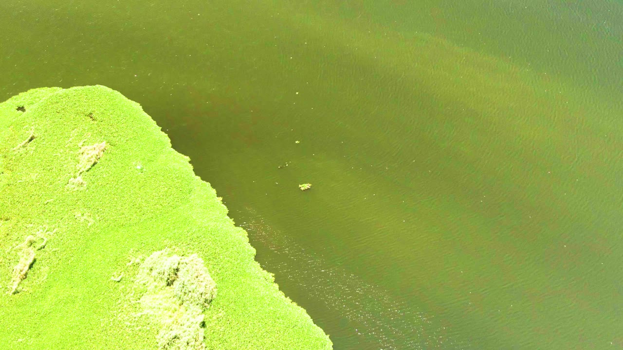 At one second, the grassy point sits farther into the frame while a small light object is visible on the green water, with no visible people.