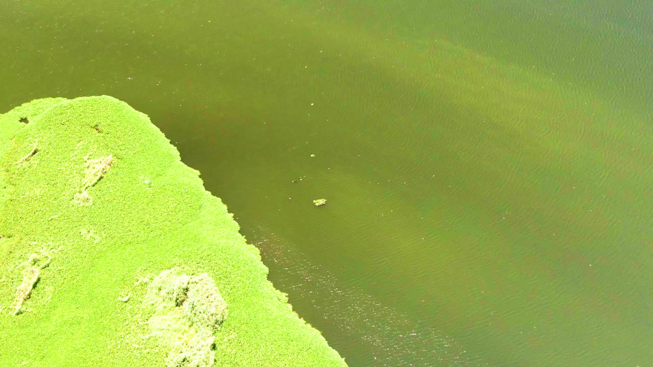 At two seconds, bright grass holds the left side while darker green water and faint surface ripples spread across the upper right, with no visible people.