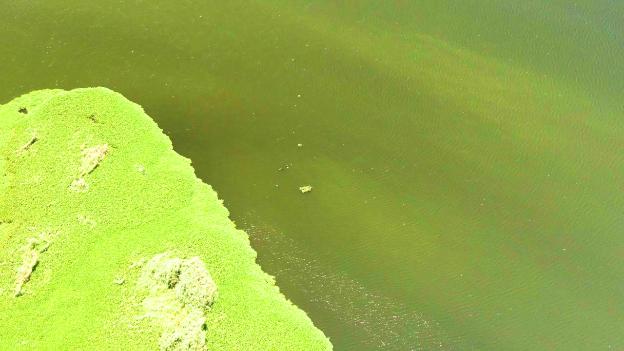 At three seconds, the grassy shoreline corner remains low and left as green water fills most of the view with fine ripple texture, with no visible people.